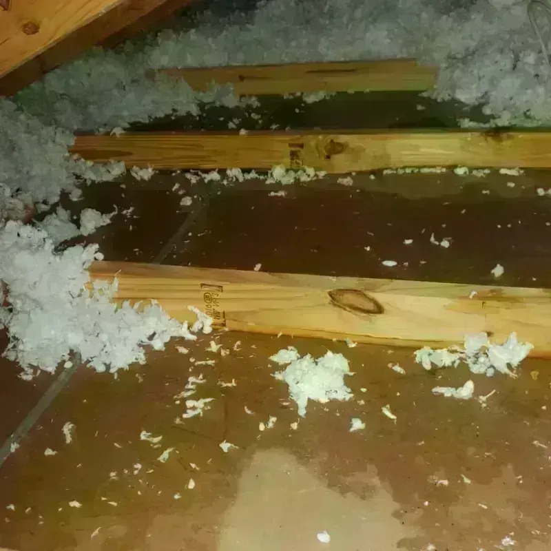 Attic Water Damage in Houston, MS