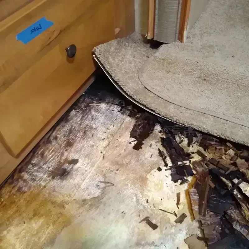 Wood Floor Water Damage in Houston, MS